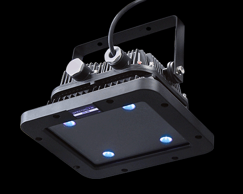EDGE™ 4 Wash Station Lamp