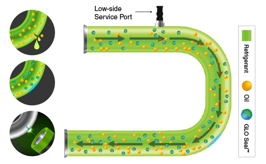 Glo-Seal-Diagram5