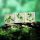 Three wooden blocks with green eco law, planet Earth, and justice icons on mossy rock, symbolizing sustainable development, legal protection of nature, and environmental justice in a green context.